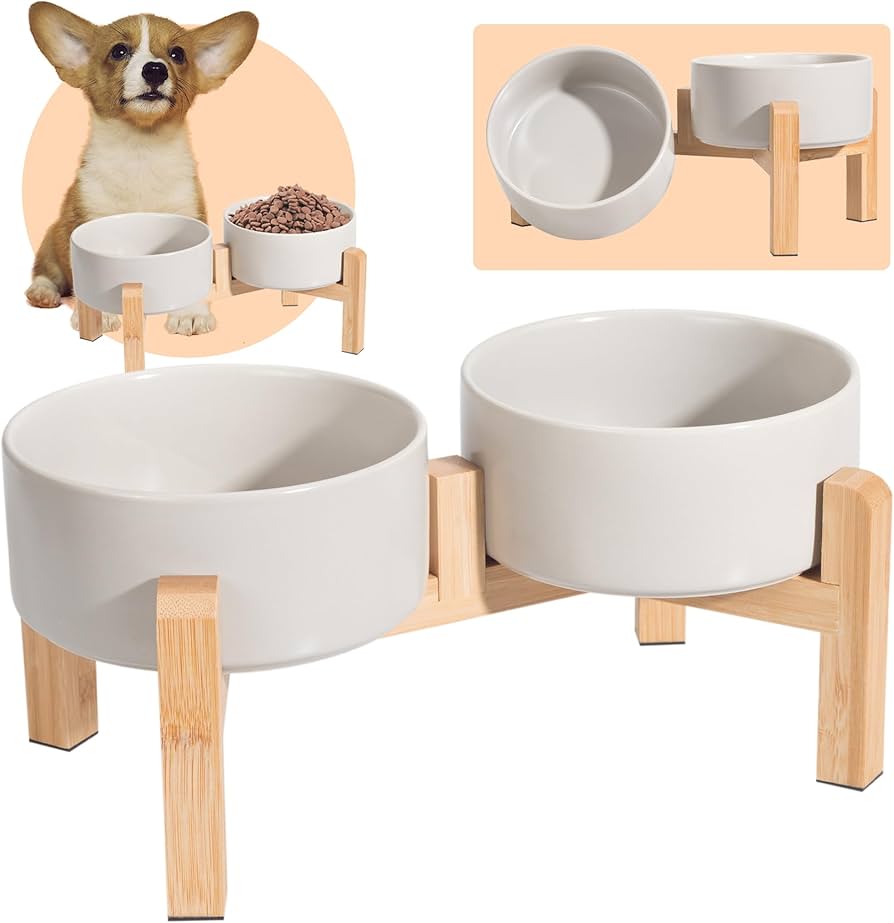 Cuenco de cerámica para perro BuddyPets