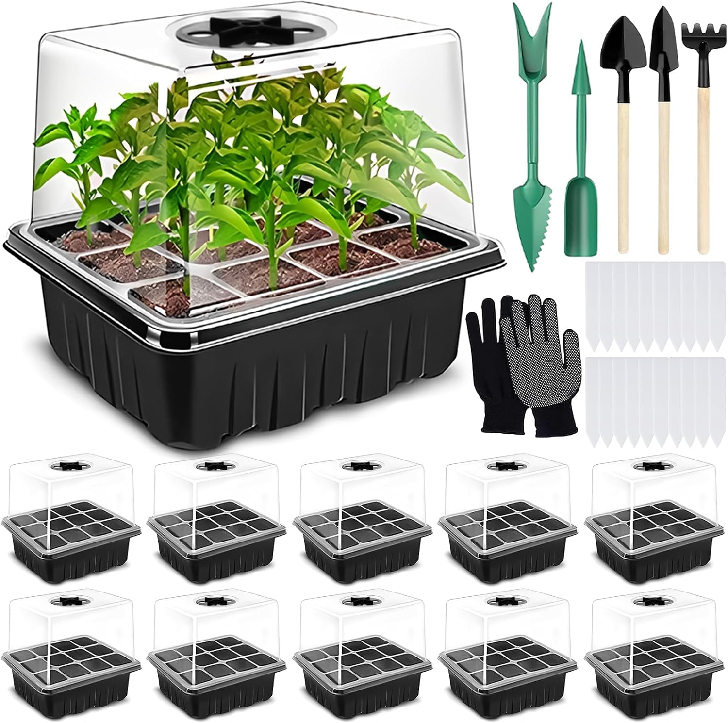 Germinador de Semillas 3 Bandejas
