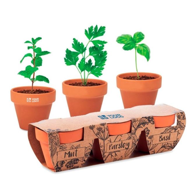 Set 3 Macetas Terracota Hierbas Aromáticas